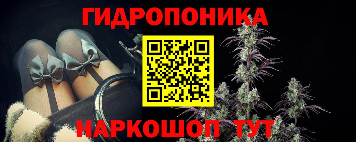 Шишки марихуана Bruce Banner Сухой Лог